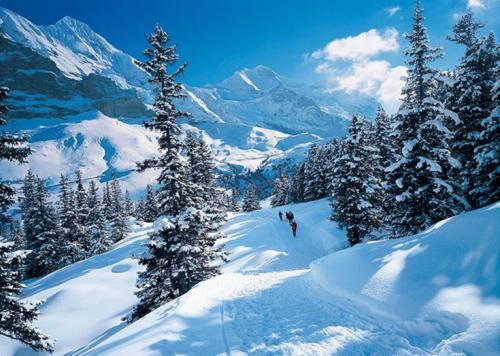 Apartamento Chalet Sonnenblick