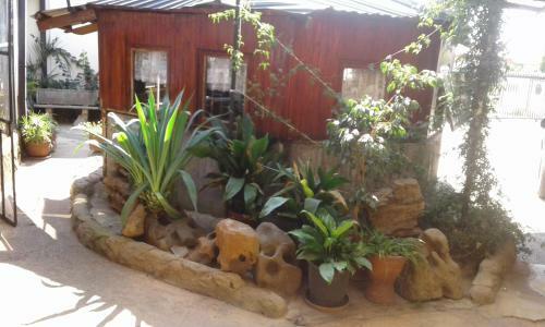 Hostal Pat's Place