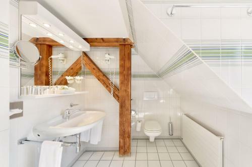 Hotel Astra Vevey