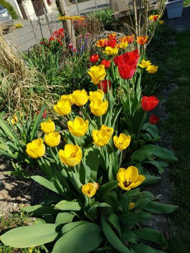 Bed & Breakfast Bnb M�nthal Im Jurapark