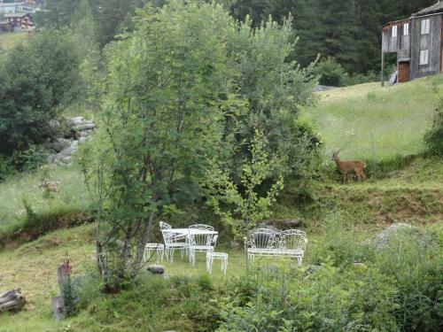 Chalet Sven & Marc Gr�chen/st. Niklaus Vs