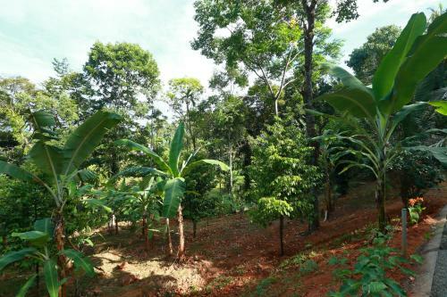 Agroturismo Zee's Garden