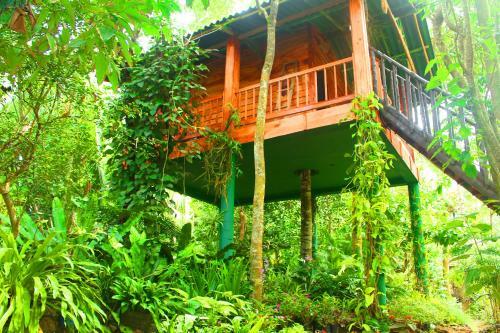 Bed & Breakfast Nisala Vila