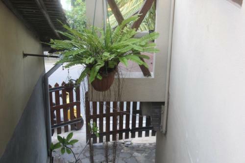 Agroturismo Vintekta Cottage