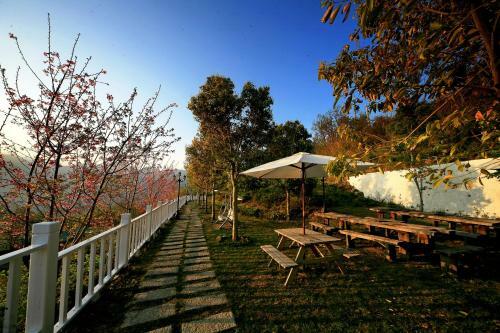 Dream Forest Villa