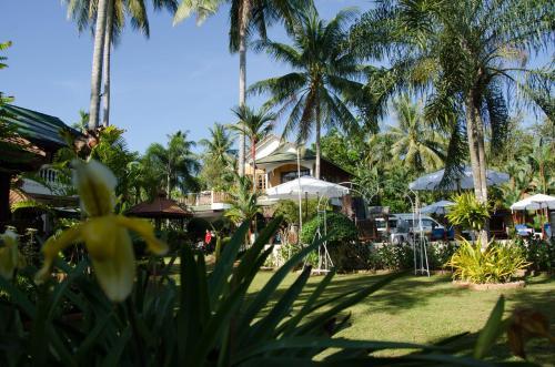 Hotel Jungle Village