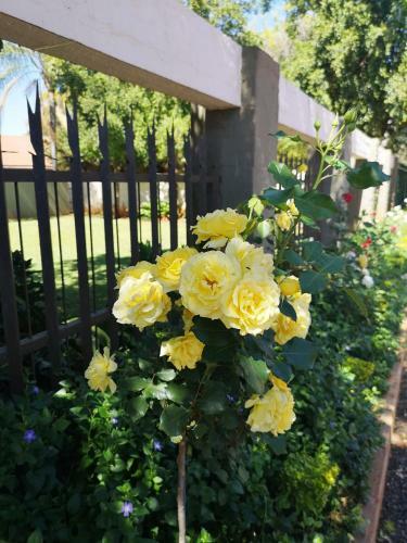 Hostal Rose Garden Overnight Stay