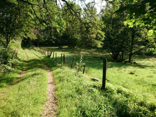 G�llareds Bed & Breakfast