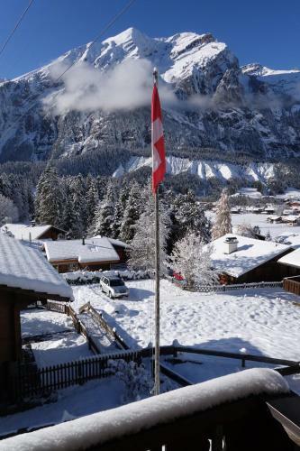 Apartamento Ferienwohnung Chalet Bergblume