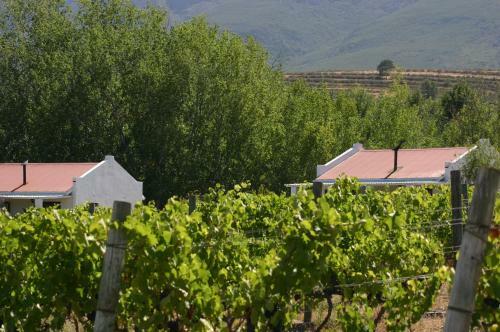 Fraaigelegen Farm Tulbagh