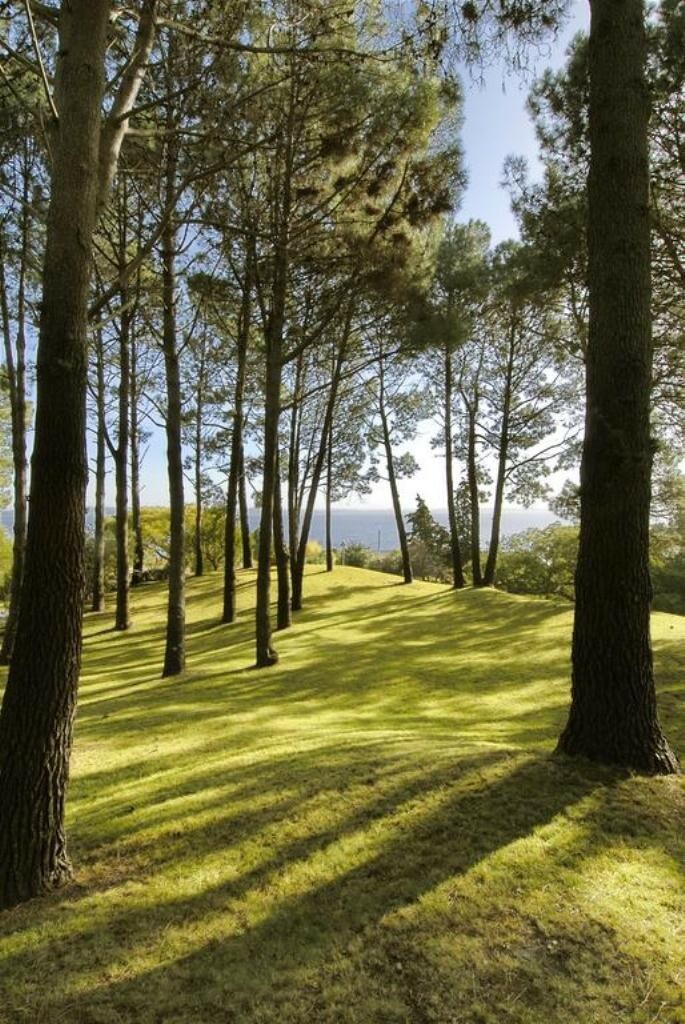 Hotel Del Lago Golf & Art Resort