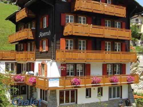 Apartamento Alpenruh (007102) 3