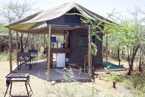 Thorn Tree Bush Camp