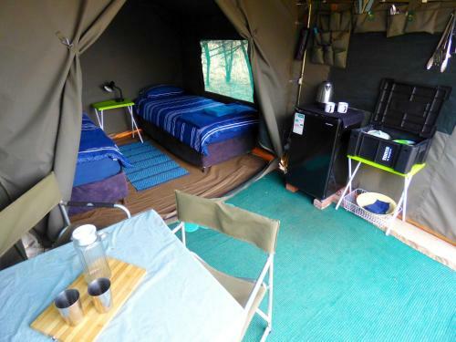 Thorn Tree Bush Camp