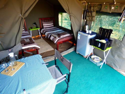 Thorn Tree Bush Camp