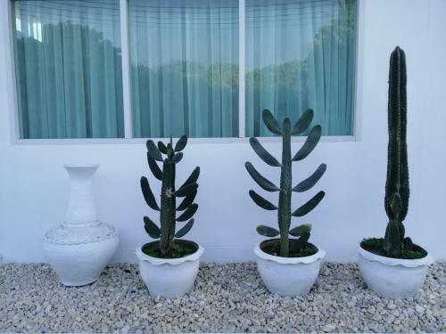 Hotel Patra Agaligotel