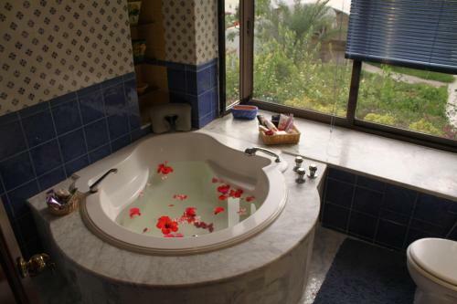 Villa Sidi Bou Said