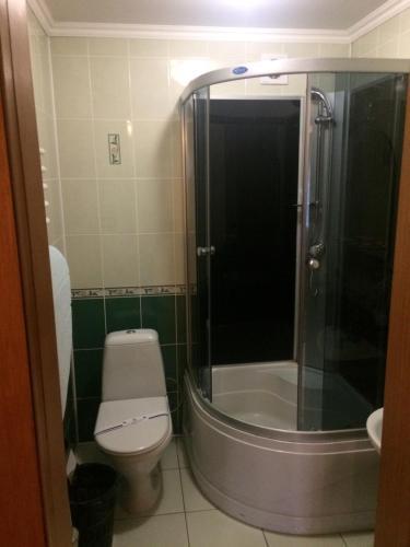 Hotel Sribni Rosy