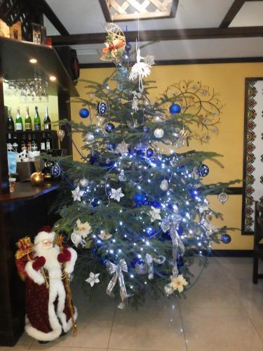 Hotel Sribni Rosy
