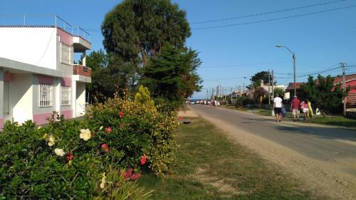 Las Dulcineas