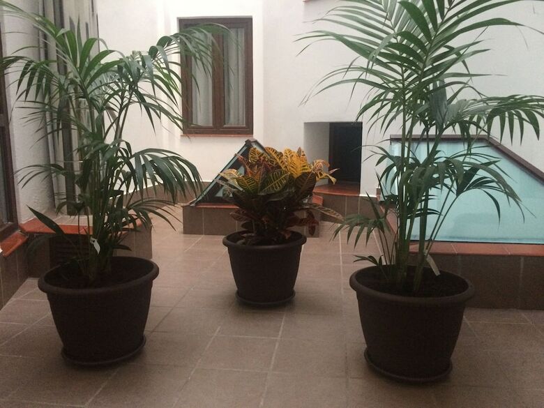 Hotel Castilla Guerrero