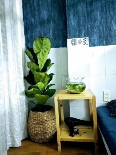Enjoy Mekong Hostel