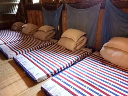 Tavan Nature Homestay