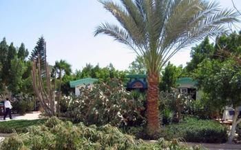 Ghazala Beach Hotel