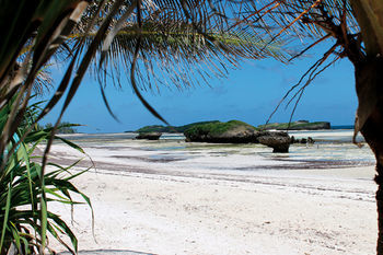 Hotel Watamu Palm Beach