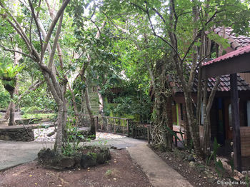Hotel Bohol Bee Farm