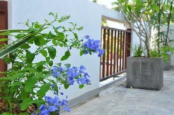 Hotel Brizo Weligama