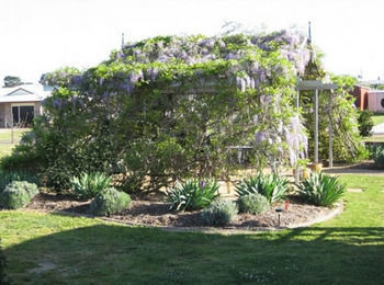 Grovely House Bed & Breakfast