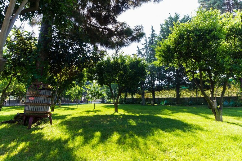 Hotel Resort Bosco De' Medici