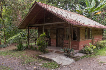 Apartamento Arenal Oasis