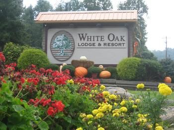 Hotel White Oak Lodge & Resort