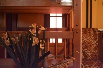Los Amigos Hostel