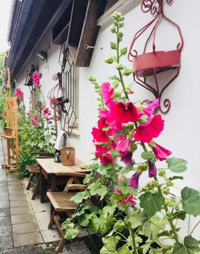 Hostal Antik - Pension Birnbom