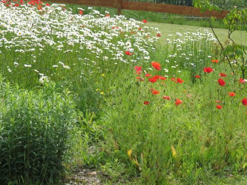 Hostal Pension & Ferienhaus Latr�pchen