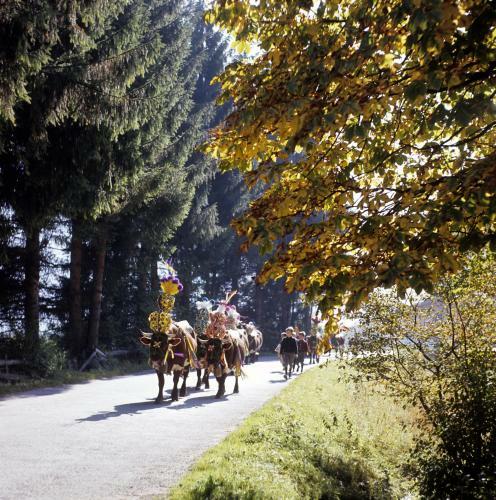 Chalet Ramsau