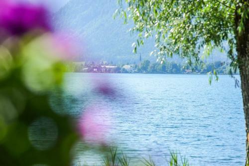 Land-gut-hotel Hotel Askania
