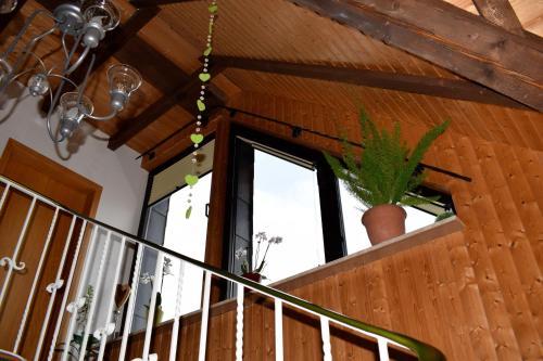 Hostal G�stehaus - Haus Am Schultal