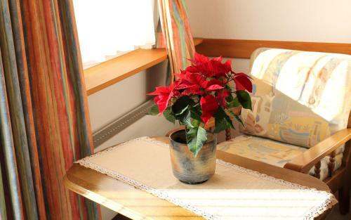 Apartamento Haus An Der Sonne