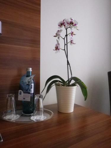 Hotel Schwibbogen G�rlitz