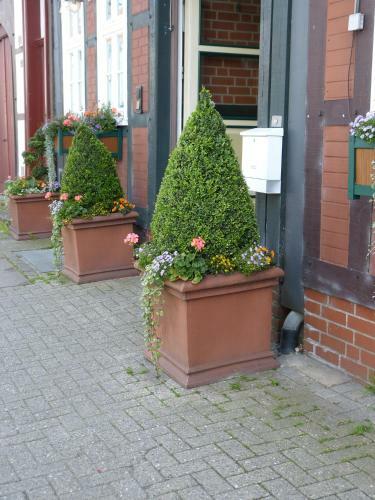 Hostal Hotel Am Hehlentor