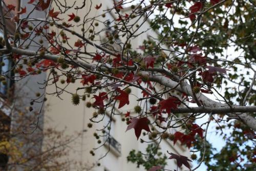 Sunny Recoleta Apartment