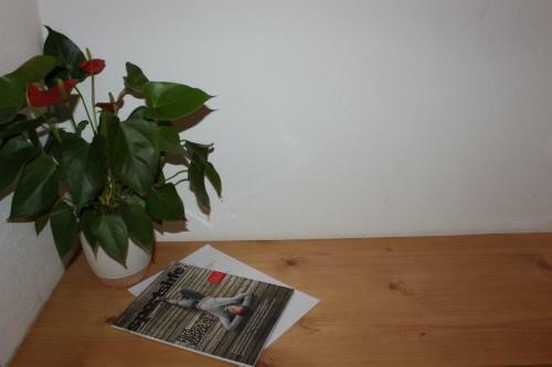 Hostal Pension Lugeck