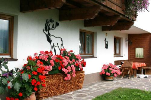 Apartamento Haus Ampferstein