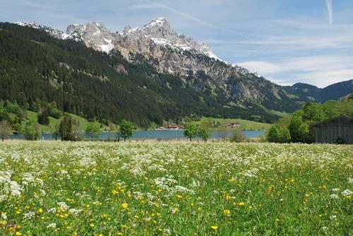 Hostal Landhaus Aggenstein
