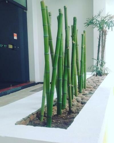 Hotel Villa Mery