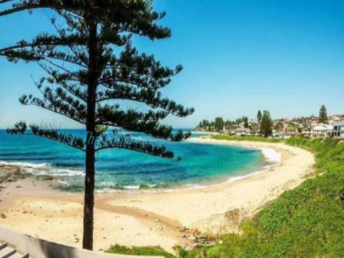 Apartamento Ocean Pines 5